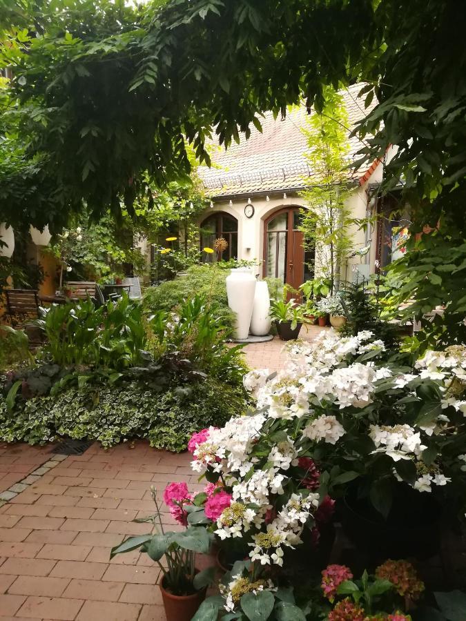 Faehrhaus Meissen B&B 外观 照片