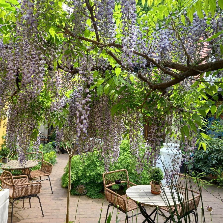 Faehrhaus Meissen B&B 外观 照片